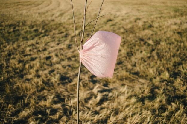 plasticbagintree