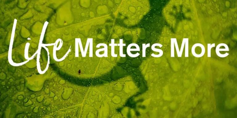 Life-Matters-More-Header-1024×1024.jpg